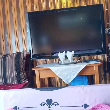 Hostel Intim 95 Ron Birlad Ngoại thất bức ảnh